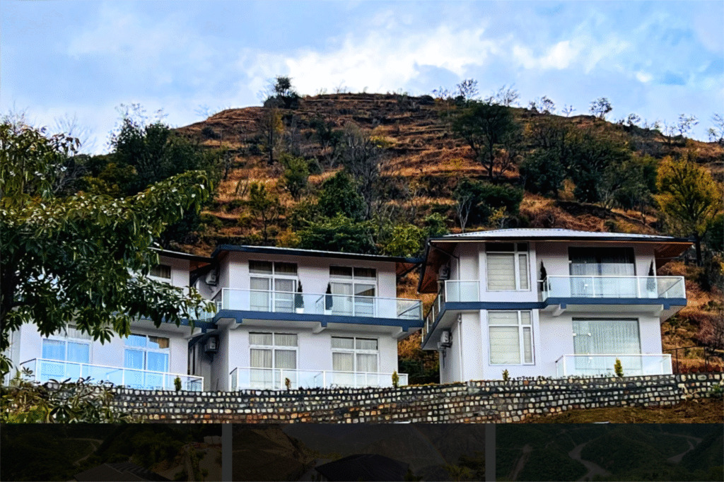 Dandelion by the Hills img1 Design by ADinterio